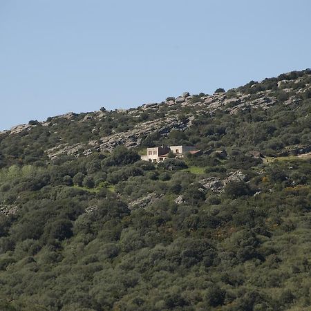 Campi Elisi B&B Sassari Exterior foto